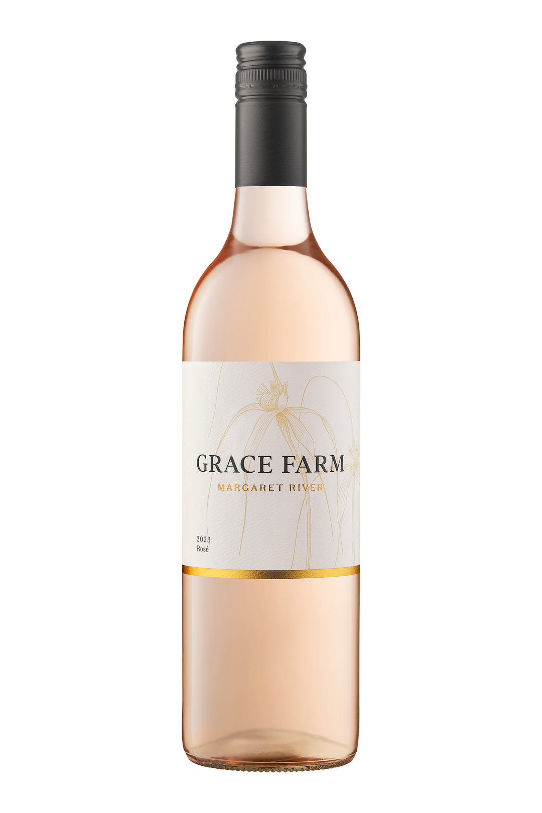 Grace Farm Rose 2023