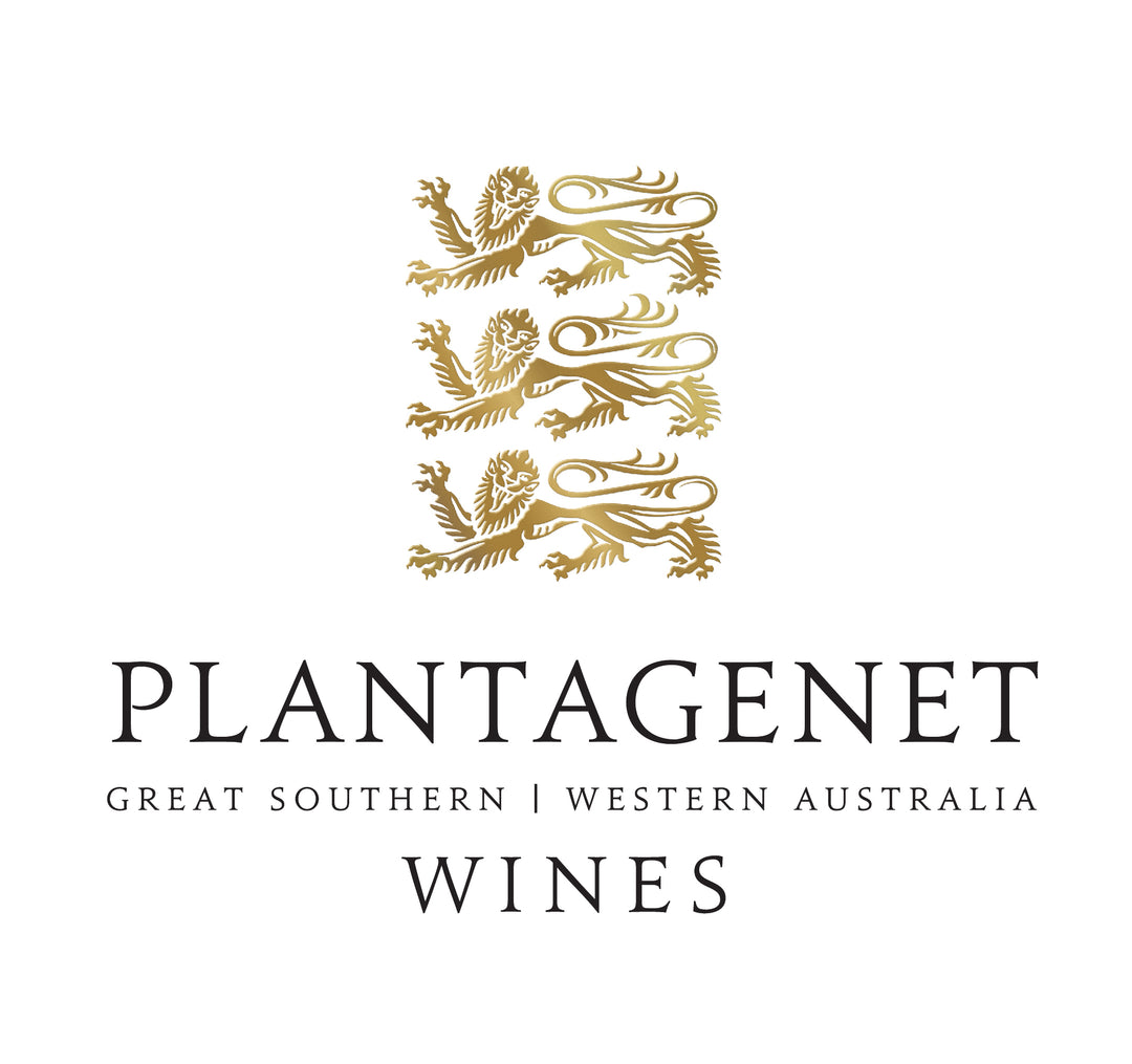 Plantagenet