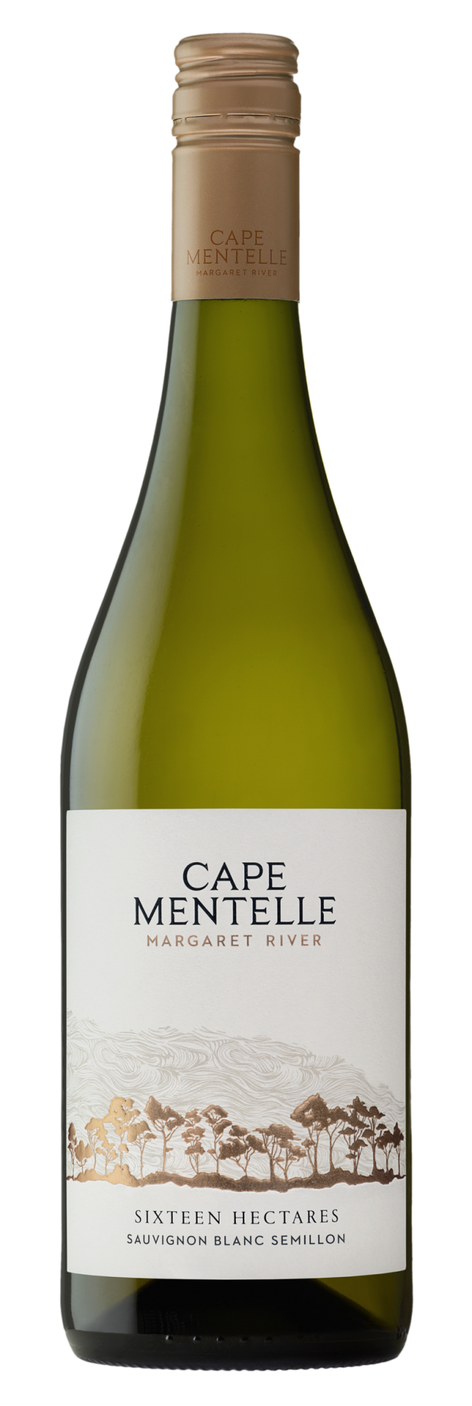 Wine Review 2026