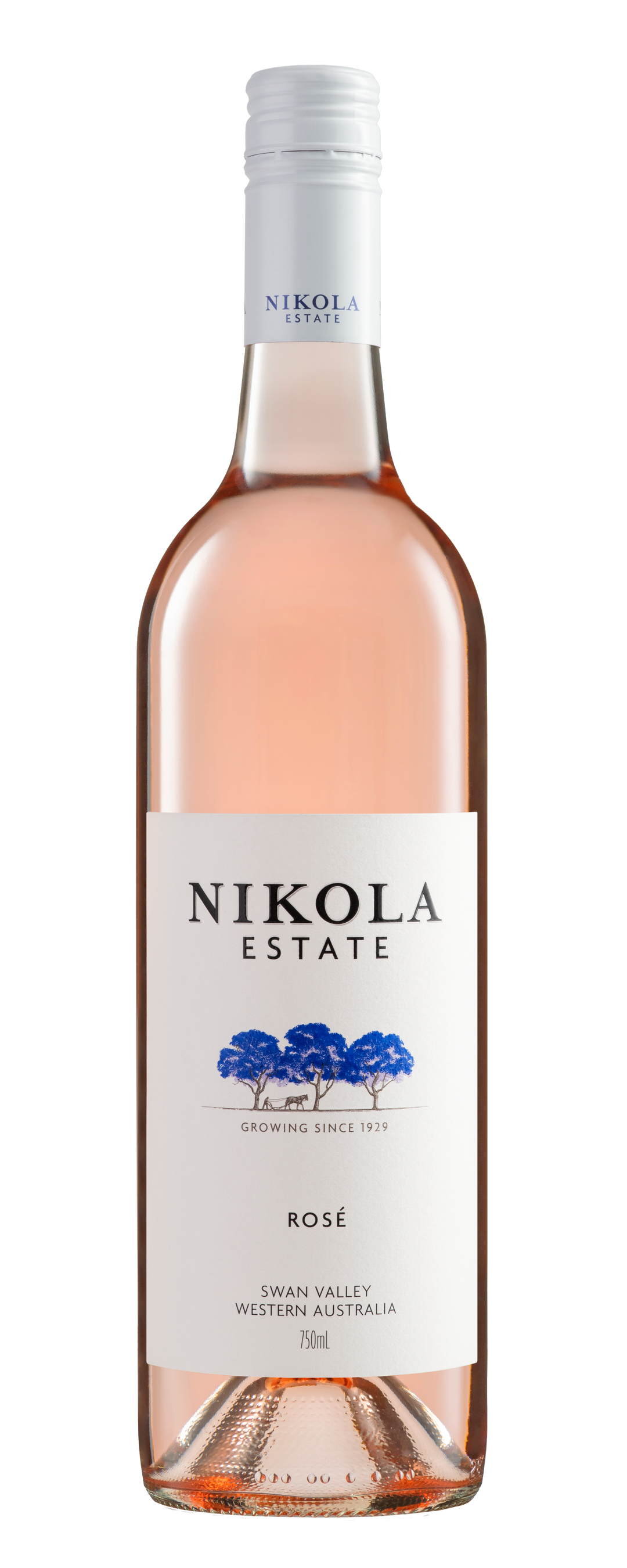 Nikola Estate Rose 2024