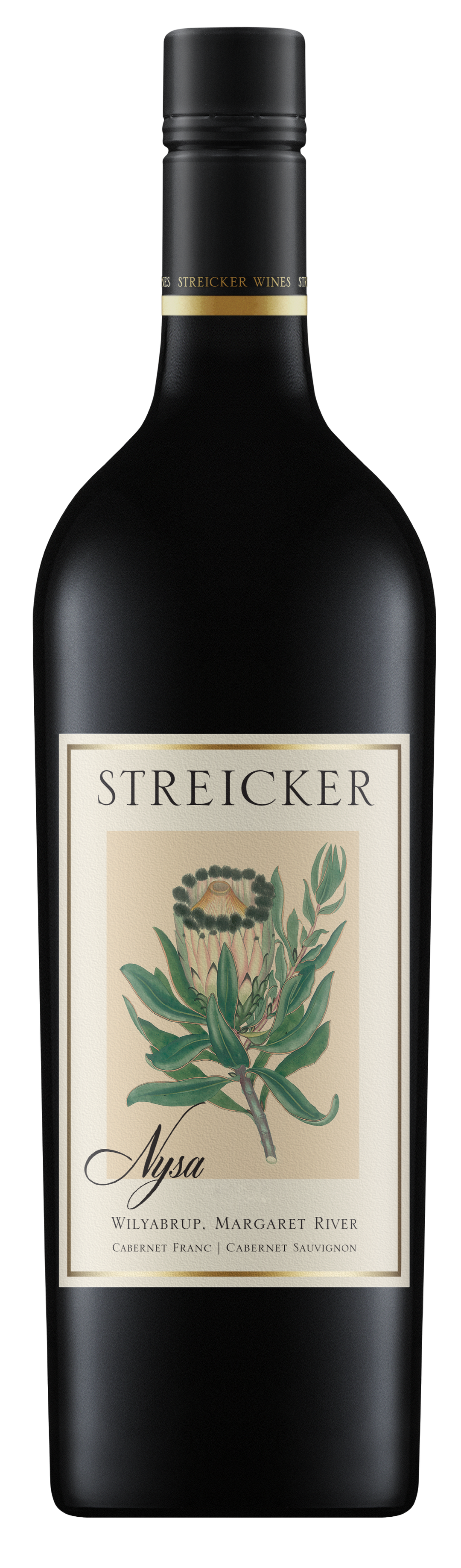 Streicker Nysa 2018
