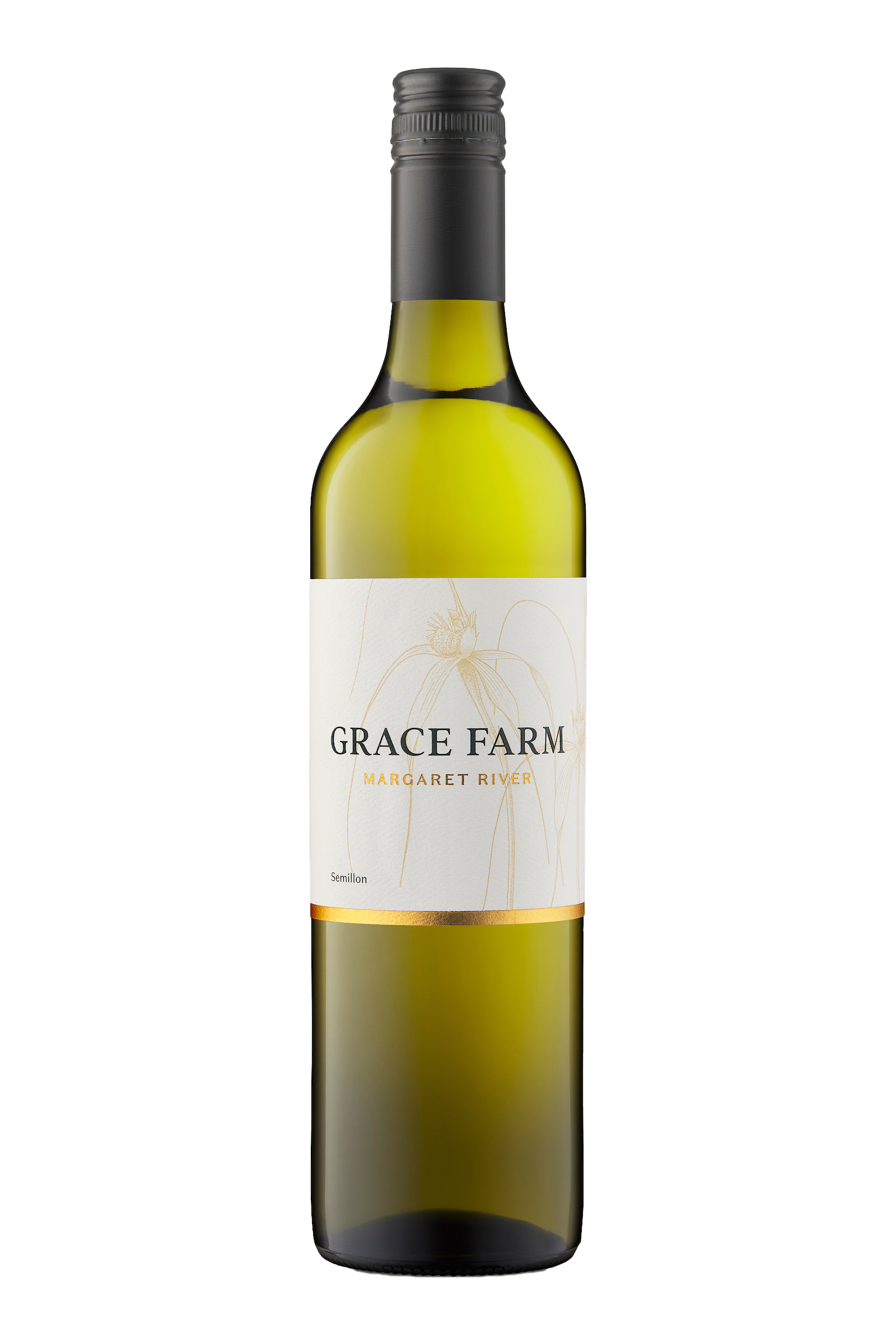 Grace Farm semillon 2025 Ray Jordan Wine