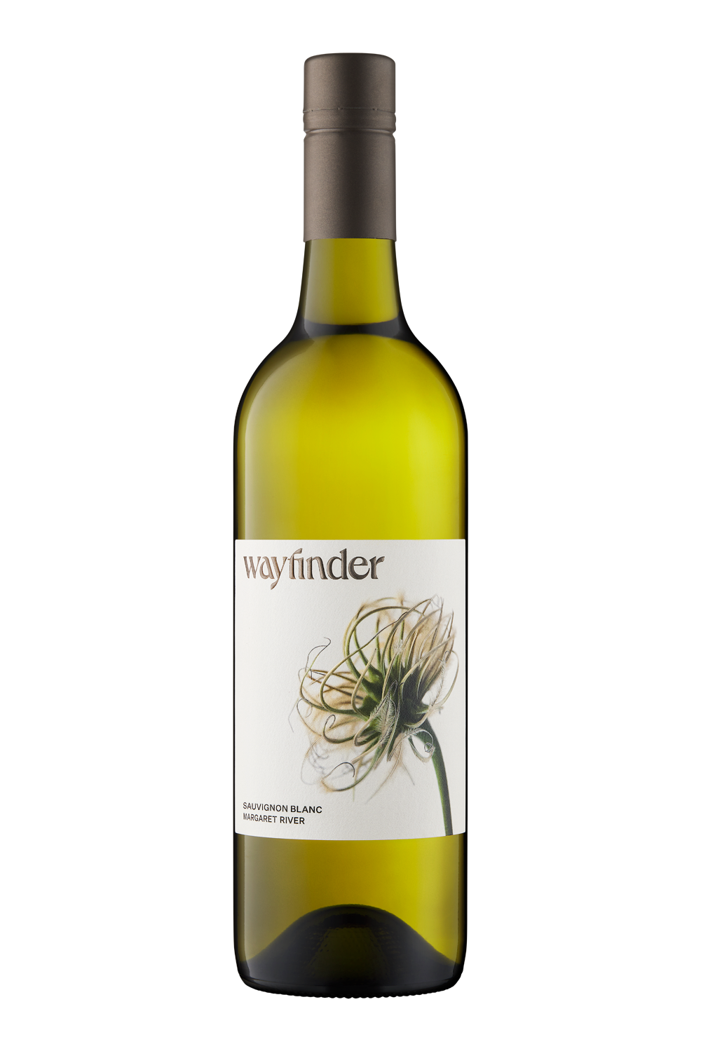 Wayfinder sauvignon blanc 2025